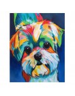 SDOYUNO 40x50cm styl pop obraz bez ram diy według numerów kolorowy pies zdjęcia według numerów na płótnie zwierzęta dekoracji wn