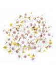50 sztuk 2cm Multicolor Mini jedwab sztuczna stokrotka kwiat głowy dla korony ślub girlanda dekoracyjna Handmade DIY scrapbookin