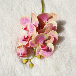 3D sztuczny motyl storczyki fałszywy Moth flor kwiat orchidei dla domu ślubna dekoracja prawdziwy dotyk Home Decor Flore