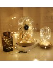 1m10 LED klips do zdjęć lampa łańcuchy świetlne dekoracje na Baby Shower dekoracje ślubne dekoracje na imprezę urodzinową romant