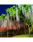 100CM sztuczny kwiat wiśni winorośli jedwabne kwiaty Sakura na wesele wystrój sufitu fałszywy garland arch bluszcz diy party dec