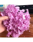 3 g/partia wysokiej jakości naturalne świeże zakonserwowane kwiaty suszone hortensja głowy dla DIY prawdziwe życie wieczne kwiat