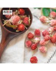 Czerwony Gomphrena globosa pąki naturalny suszony kwiat DIY rzemiosło suszone sprasowane kwiaty dla domu wesele DIY prezenty dek