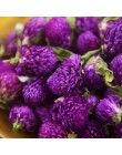 Fioletowy Gomphrena globosa pąki naturalnie suszony kwiat, sprasowane kwiaty DIY urodziny/boże narodzenie/dekoracja biurowa akce