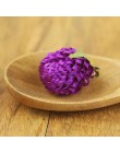 Fioletowy Gomphrena globosa pąki naturalnie suszony kwiat, sprasowane kwiaty DIY urodziny/boże narodzenie/dekoracja biurowa akce