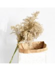 20 sztuk suszonych roślin pampas trawa naturalne phragmites communis ślubny kwiat bukiet surowy kolor