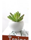 Lodówka magnesy doniczkowa sztuczna zielona sukulenty Bonsai zestaw sztuczny kwiat wazon pamiątka tablica naklejki magnetyczne