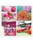 10 sztuk 10 "/bibuła 25cm pompony kule kwiatowe ślubne chusteczki na imprezę papierowe pompony Wedding party ozdobne statki kwia
