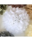 10 sztuk 10 "/bibuła 25cm pompony kule kwiatowe ślubne chusteczki na imprezę papierowe pompony Wedding party ozdobne statki kwia