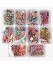 1 Box Mix piękne prawdziwe suszone kwiaty naturalny wzór kwiatowy na rzemiosło artystyczne Scrapbooking biżuteria z żywicy Craft