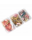 1 Box Mix piękne prawdziwe suszone kwiaty naturalny wzór kwiatowy na rzemiosło artystyczne Scrapbooking biżuteria z żywicy Craft