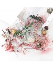 1 Box Mix piękne prawdziwe suszone kwiaty naturalny wzór kwiatowy na rzemiosło artystyczne Scrapbooking biżuteria z żywicy Craft