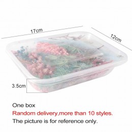 1 Box Mix piękne prawdziwe suszone kwiaty naturalny wzór kwiatowy na rzemiosło artystyczne Scrapbooking biżuteria z żywicy Craft