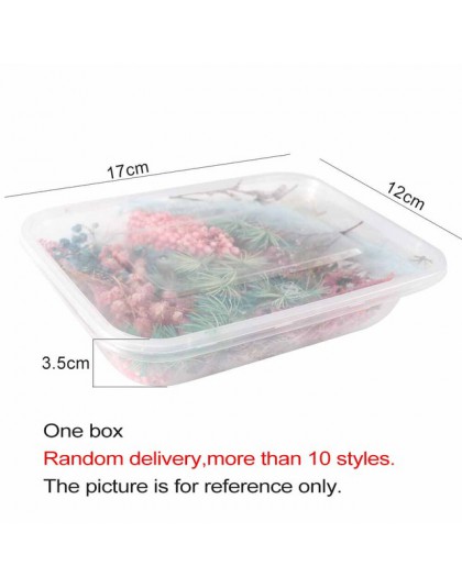1 Box Mix piękne prawdziwe suszone kwiaty naturalny wzór kwiatowy na rzemiosło artystyczne Scrapbooking biżuteria z żywicy Craft