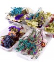 1 Box naturalny suszony kwiat suche rośliny prawdziwe kwiaty świeca aromaterapeutyczna naszyjnik z żywicy epoksydowej biżuteria 