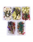1 Box naturalny suszony kwiat suche rośliny prawdziwe kwiaty świeca aromaterapeutyczna naszyjnik z żywicy epoksydowej biżuteria 