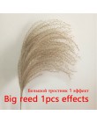30 sztuk Pampas trawa małe naturalne suszone Phragmites Communis trzciny kwiat wystrój ogrodu naturalne prawdziwe pszenicy ślub 