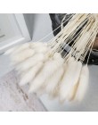 30 sztuk Pampas trawa małe naturalne suszone Phragmites Communis trzciny kwiat wystrój ogrodu naturalne prawdziwe pszenicy ślub 
