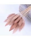 30 sztuk Pampas trawa małe naturalne suszone Phragmites Communis trzciny kwiat wystrój ogrodu naturalne prawdziwe pszenicy ślub 