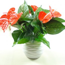 Anthurium, zielone doniczkowe anthurium kwiaty kryty zielone rośliny balkon biura na biurko sztuczne kwiaty bonsai