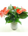 Anthurium, zielone doniczkowe anthurium kwiaty kryty zielone rośliny balkon biura na biurko sztuczne kwiaty bonsai