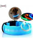 LED Pet nylonowa obroża dla psa świecące dla bezpieczeństwa w nocy świecące w ciemności smycz psy Luminous kołnierze fluorescenc