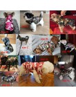 Wodoodporna kurtka dla psa zimowy strój dla szczeniaczka wzór moro mała kurtka dla psa Chihuahua Yorkie odzież petshop ropa para