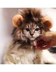 Śmieszne słodkie zwierzątko kostium kota lwia grzywa czapka z peruką kapelusz dla kota pies Halloween ubrania świąteczne przebra