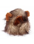 Śmieszne słodkie zwierzątko kostium kota lwia grzywa czapka z peruką kapelusz dla kota pies Halloween ubrania świąteczne przebra