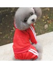 Wiosenne ubrania dla psów dla psów kombinezony ubranko dla zwierząt Puppy ubrania dla kotów na ubranko dla psa gruba odzież dla 