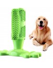 Zabawka dla psa zabawki dla psa szczoteczka do zębów dla psa Pet molowe czyszczenie zębów szczotkowanie Stick Doggy Puppy opieka
