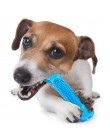 Zabawki dla psów Pet Molar czyszczenia zębów szczotkowanie Stick trainging gryzak dla psa zabawki psy szczoteczka do zębów Doggy