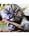 Czysta naturalna kocimiętka Pet Cat Toy molowa pasta do zębów oddział czyszczenia zębów Silvervine kot przekąski kije Pet Suppli