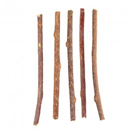 Czysta naturalna kocimiętka Pet Cat Toy molowa pasta do zębów oddział czyszczenia zębów Silvervine kot przekąski kije Pet Suppli