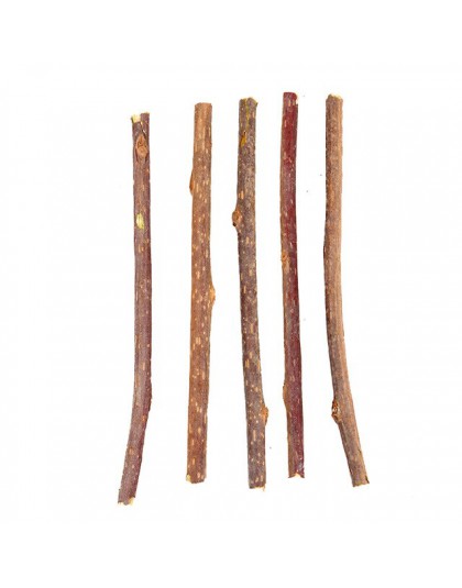 Czysta naturalna kocimiętka Pet Cat Toy molowa pasta do zębów oddział czyszczenia zębów Silvervine kot przekąski kije Pet Suppli