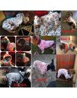 Pawstrip XS-2XL miękki polarowy kombinezon dla psa zimowy pies ubrania mały płaszcz dla szczeniaka ubrania dla zwierząt domowych