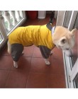 Duży płaszcz przeciwdeszczowy dla psów odzież wodoodporny kombinezon przeciwdeszczowy dla duże średnie małe psy golden retriever