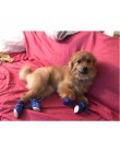 4 sztuk/zestaw wodoodporne antypoślizgowe obuwie dla zwierząt dla małych psów koty Chihuahua Yorkie grube śnieg buty dla psa ska