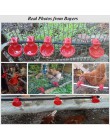 10 zestaw kurczak Waterer kury przepiórki ptaki miski do picia woda dla kurnik Chick poidło smoczkowe drób akcesoria dla zwierzą