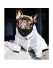 Dla psów ubrania dla zwierząt domowych dla ubranie dla małego psa buldog francuski bluzy Chihuahua Vip Dropshipping PC1350