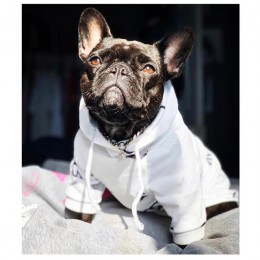 Dla psów ubrania dla zwierząt domowych dla ubranie dla małego psa buldog francuski bluzy Chihuahua Vip Dropshipping PC1350