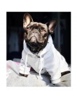 Dla psów ubrania dla zwierząt domowych dla ubranie dla małego psa buldog francuski bluzy Chihuahua Vip Dropshipping PC1350
