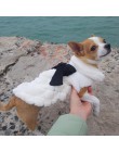 HOOPET Pet ubrania eleganckie luksusowe futro płaszcz zimowy dla małych psów ubrania dla kota Bowknot Chihuahua