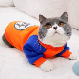 Moda kot domowy kostium letnia kamizelka dla kota bluza z kapturem przytulne maski Gotos ubrania dla kotów Katten płaszcz Kedi o