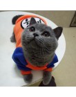 Moda kot domowy kostium letnia kamizelka dla kota bluza z kapturem przytulne maski Gotos ubrania dla kotów Katten płaszcz Kedi o