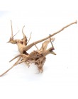 Dekoracja akwarium drewno naturalny pień Driftwood drzewo akwarium tło roślina kikut kukułka korzeń pień drzewa Ornament