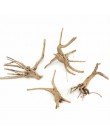 Dekoracja akwarium drewno naturalny pień Driftwood drzewo akwarium tło roślina kikut kukułka korzeń pień drzewa Ornament