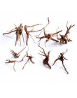 Dekoracja akwarium drewno naturalny pień Driftwood drzewo akwarium tło roślina kikut kukułka korzeń pień drzewa Ornament