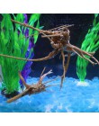 Dekoracja akwarium drewno naturalny pień Driftwood drzewo akwarium tło roślina kikut kukułka korzeń pień drzewa Ornament