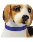 SUPREPET pasek pu obroże dla kotów kolorowe miękkie zwierzęta domowe są obroża dla kota/psa dla mały kot średniego psa Puppy reg